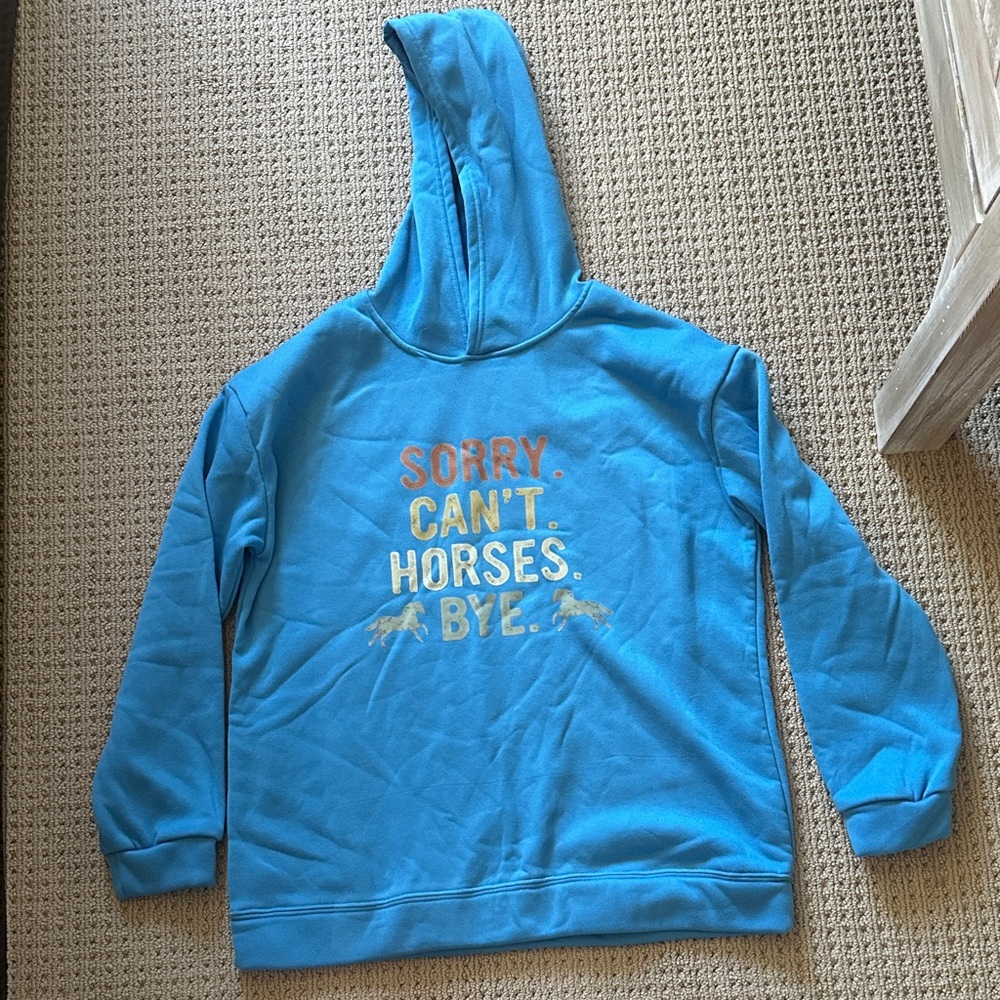 Blue Hoodie with Fun Horse Graphic
